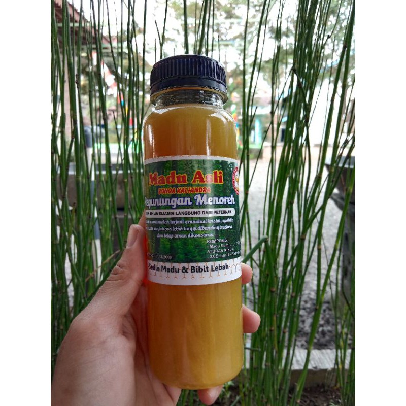 

Madu Bunga Kaliandra