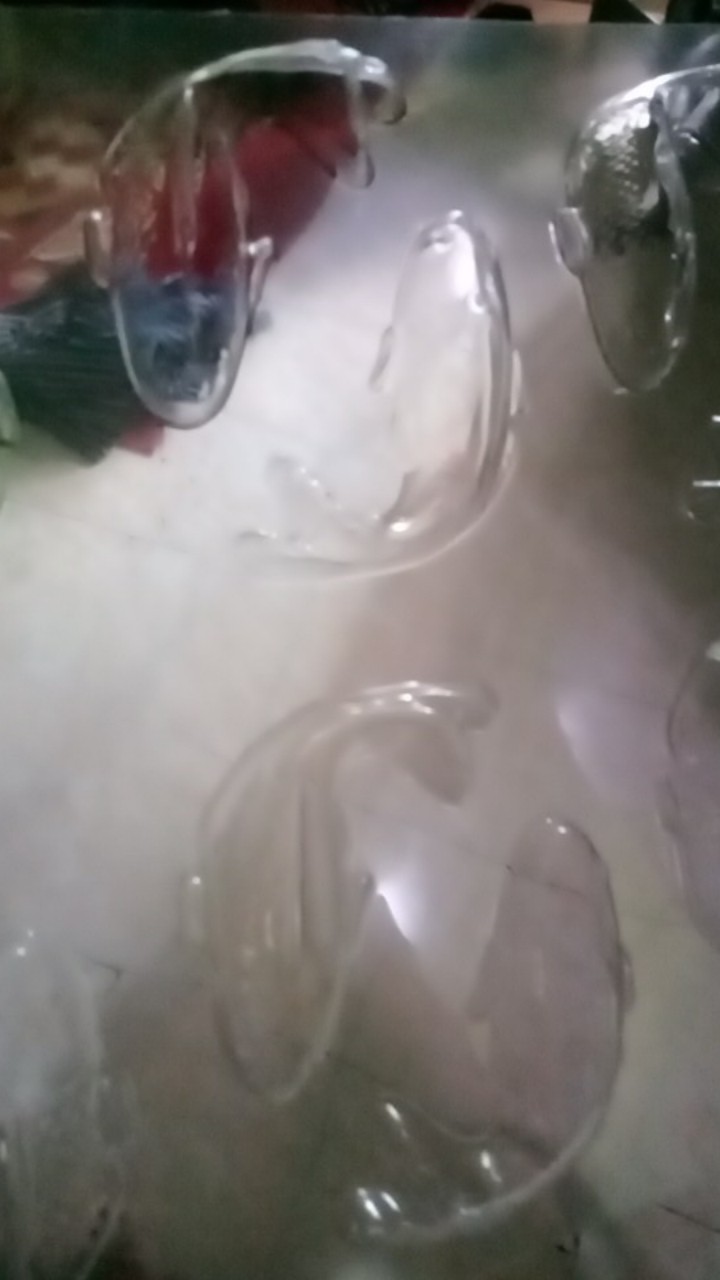 Cj Cetakan Coklat Cokelat Craft Koi Plastik 12 Cav