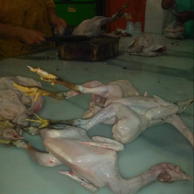 

Karkas ayam kampung