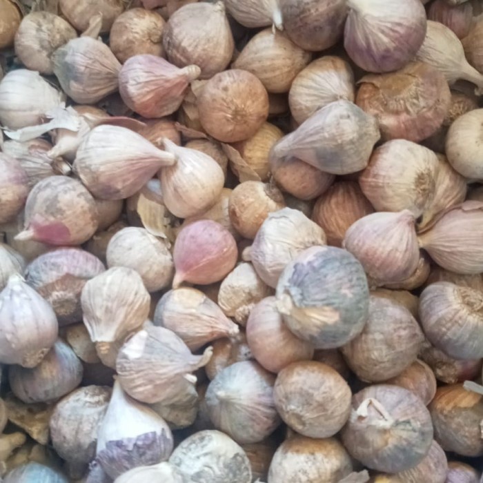 

bawang putih tunggal kecil pasar online makassar