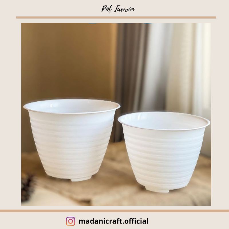 12 PCS POT TAEWON/POT TAWON