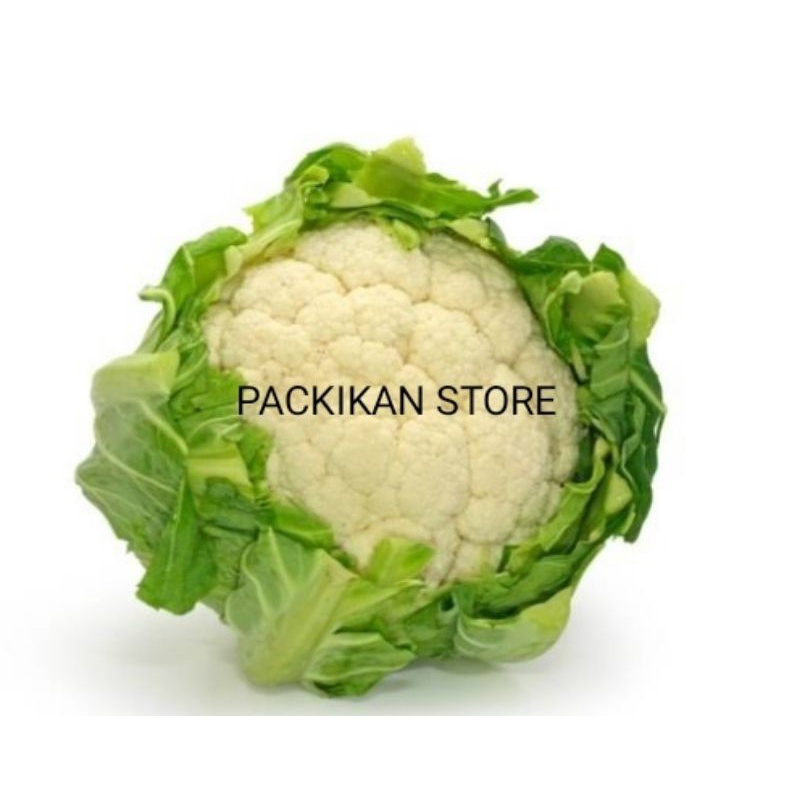 

Kembang kol Segar Dan Bergarasi 500gram
