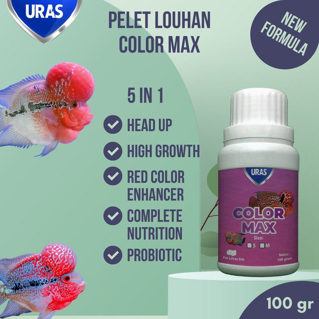 Pelet Pakan Ikan Louhan untuk Jenong Warna with Carophyll Spirulina untuk Ikan Koi Blitar Louhan Kam