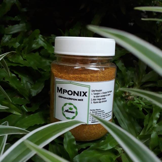 

MPONIX Empon Empon Mix siap seduh 100gr