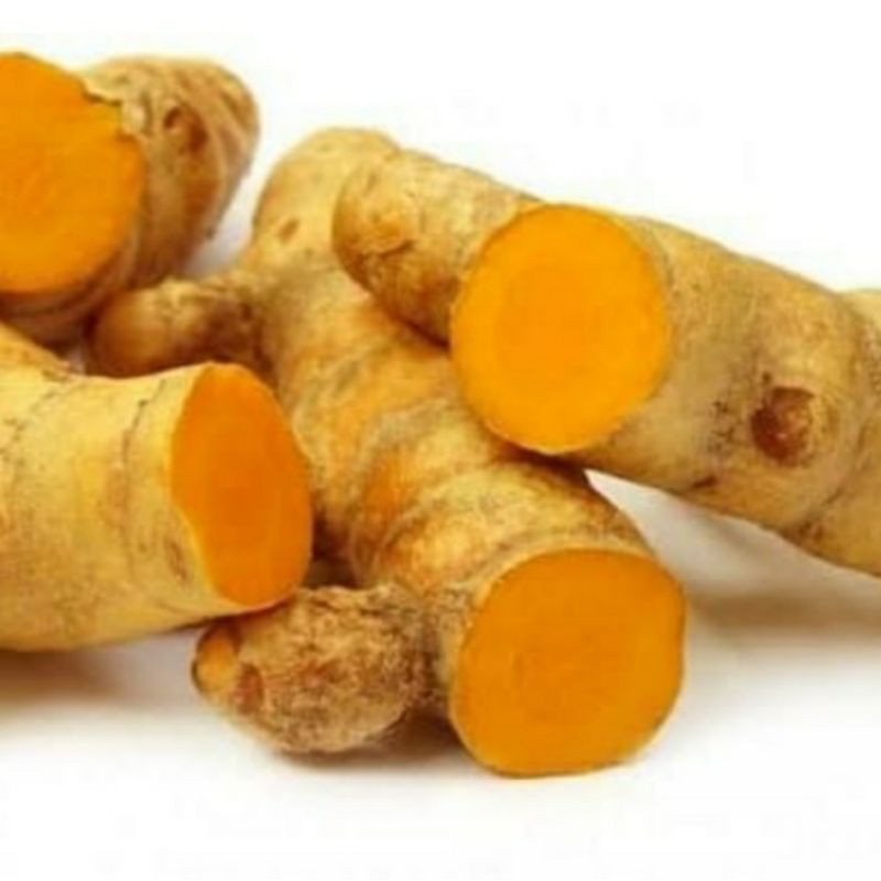 

Rempah Kunyit Segar 250 gram