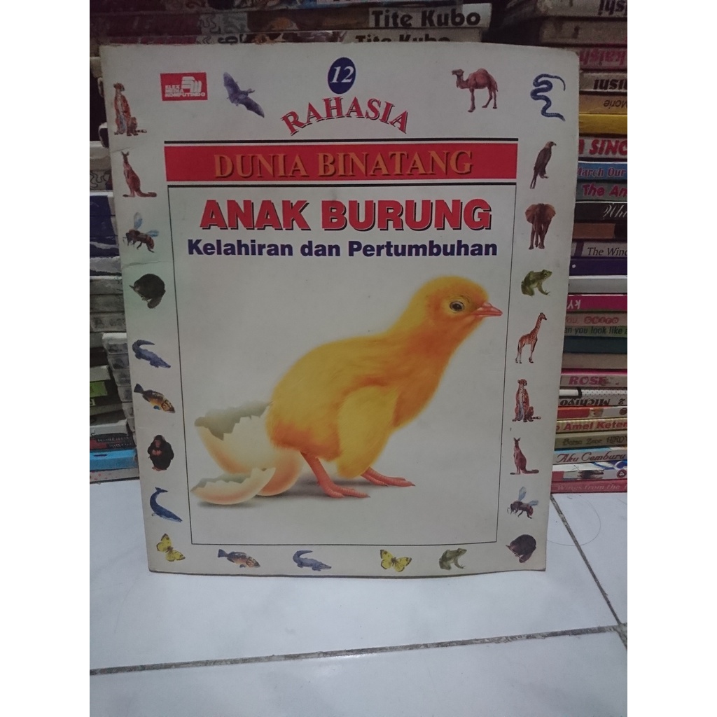 Buku Rahasia Dunia Binatang - Anak Burung kelahiran dan pertumbuhan