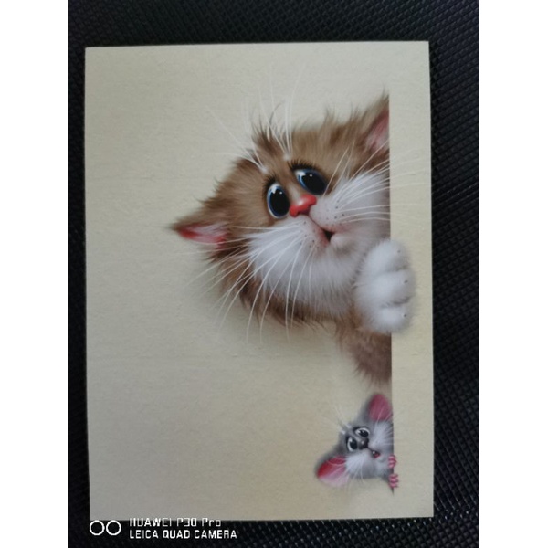 

kartu pos kucing dolotov/dolotov cat postcard
