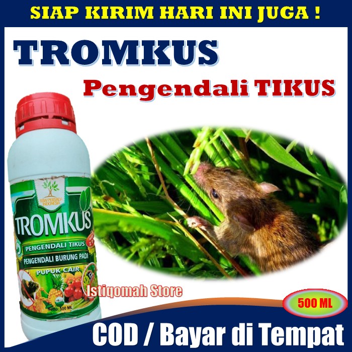 Pupuk Cair TROMKUS + ZPT Obat Semprot Pengendali TIKUS, Pengendali Burung Padi, Tidak disukai WERENG, Obat Pengusir Lalat Buah - Obat Semprot Hama Tikus dan Burung Pipit Padi Sawah - Obat Pembasmi &amp; Pengusir Tikus Burung Pipit Paling Ampuh Murah Terlaris