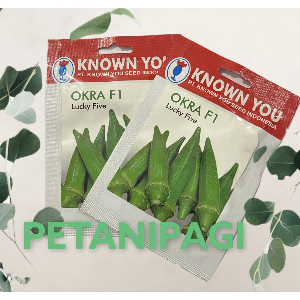 Bibit Benih Okra Hijau Lucky Five Known You Seed SP