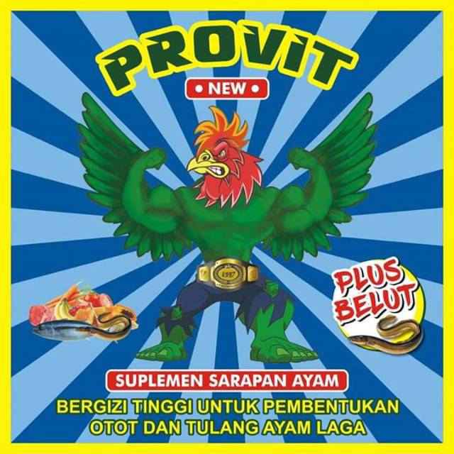 PROVIT new PROVIT - EXTRAFODING pembentukan massa otot