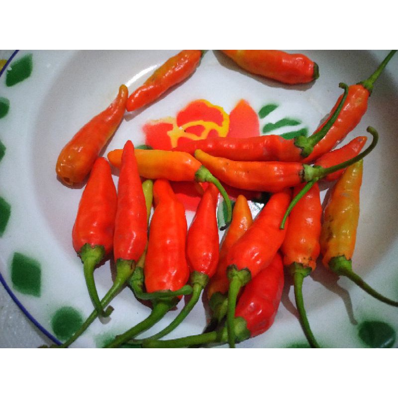 

Cabe Rawit Pedas