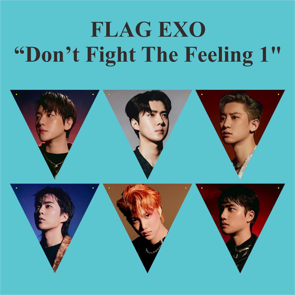 BUNTING FLAG EXO DON'T FIGHT THE FEELING Plus Tali Kpop Murah