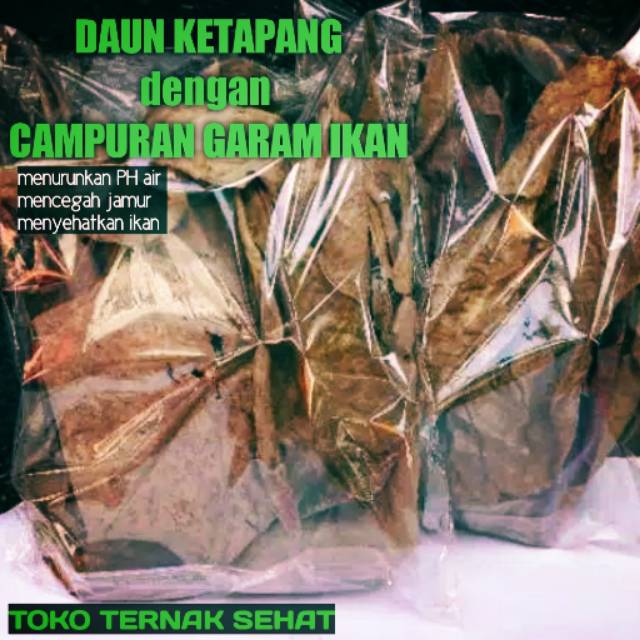 

Daun Ketapang dengan extra garam ikan