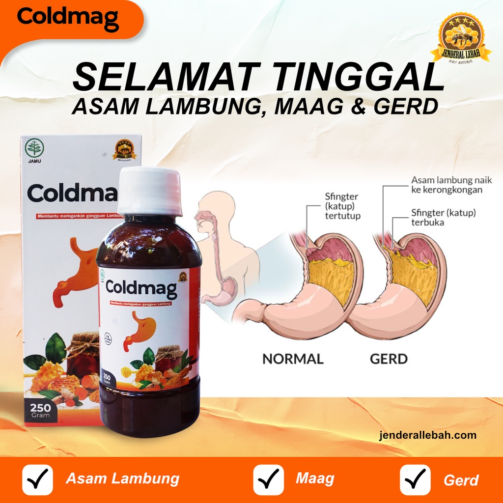 3.15 SALE !!! COLDMAG/ OBAT MAAG KRONIS/ OBAT ASAM LAMBUNG/ MADU-4