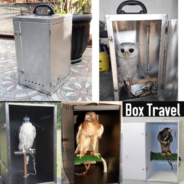 Box Travel Burung Hantu Elang Parrot