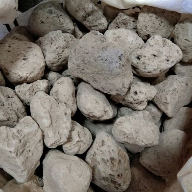 Batu Apung Media filter rumah bakteri Aquascape aaquarium 1kg