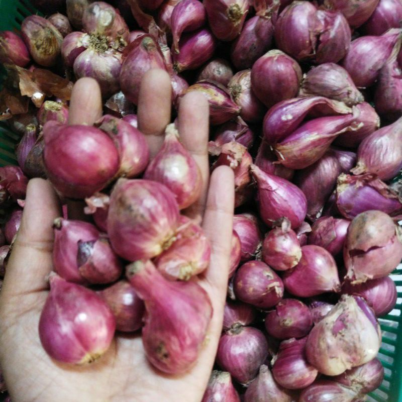 

Bawang merah / Brambang super 1/4 kg