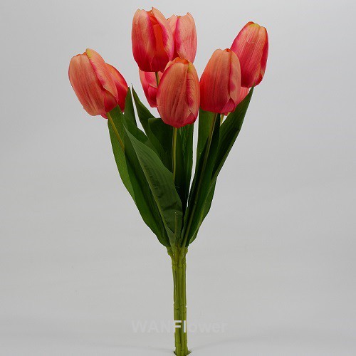 WANFLOWER Bunga Tulip T38 X9 * FUSHIA