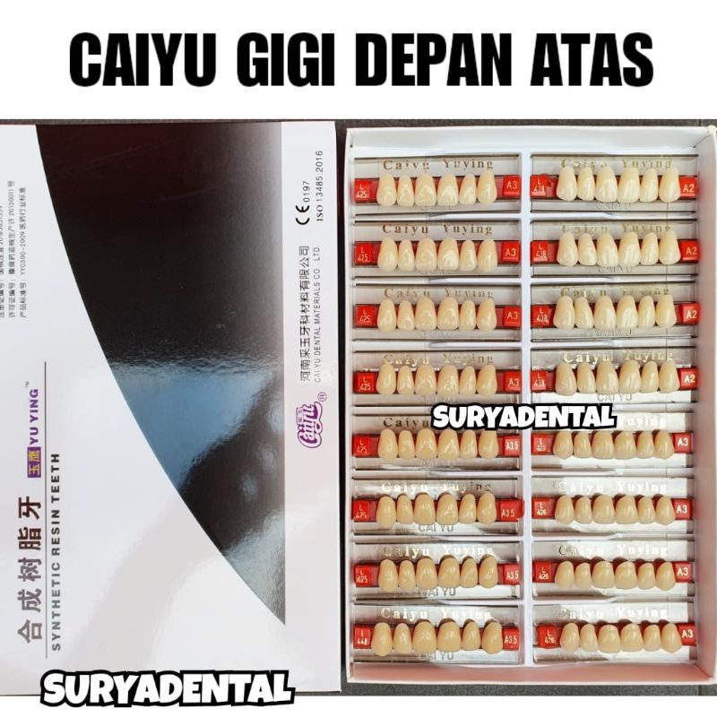 CAIYU Gigi Depan Atas / Upper Anterior / Gigi Palsu