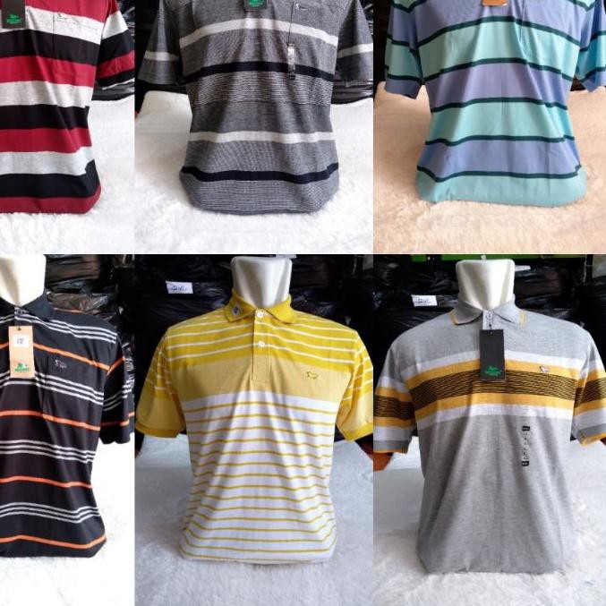 ♪ Walrus Kaos ukuran XL ➹