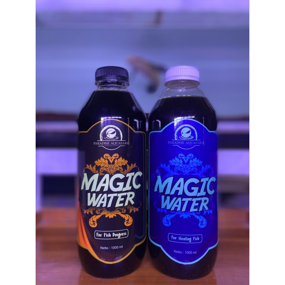 Magic Water Untuk Kesehatan dan Obat Channa / Cupang, Progress Channa, Memunculkan Warna, Mengobati 