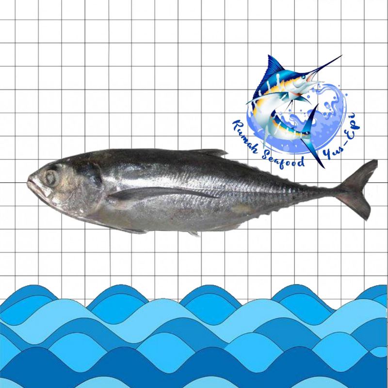 

Ikan Tengkek - rumahseafoodyusepi