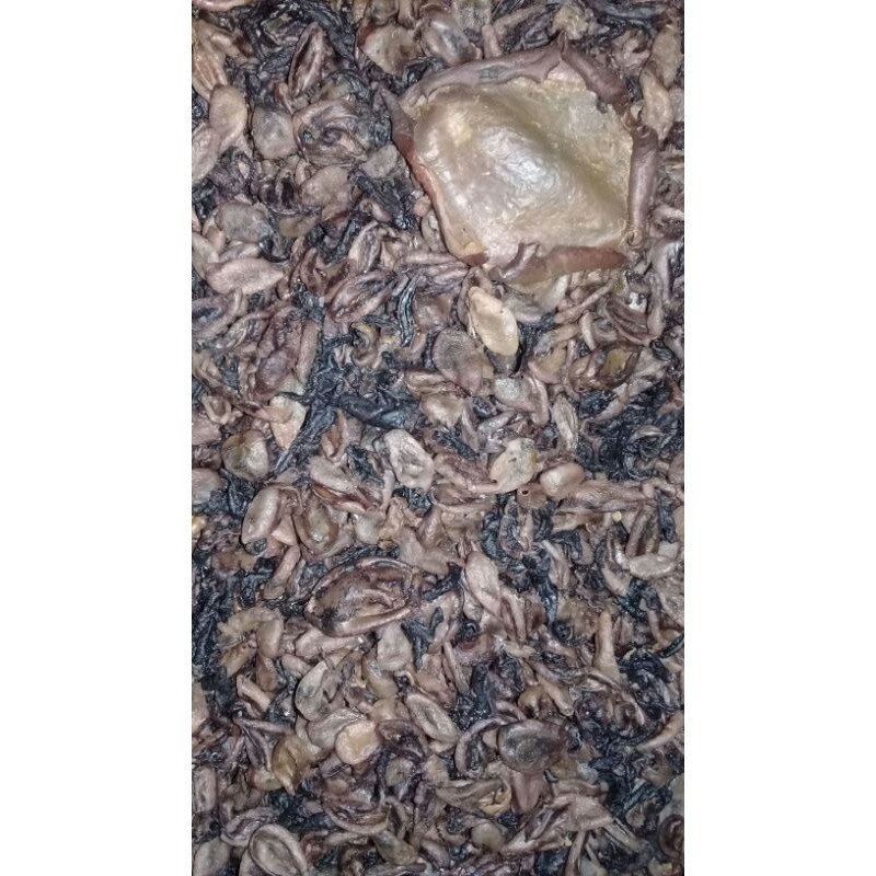 

krupuk cumi (mentahan)