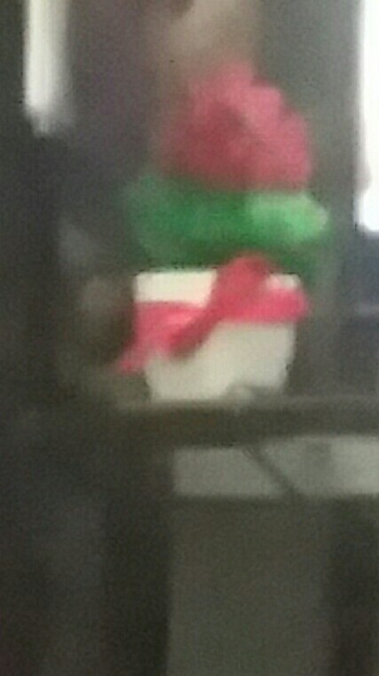 Pinus - Pot Tanaman Pohon Hias Vas Bunga Dekorasi Ornamen Tanaman Bonsai Buatan Untuk Hiasan Rumah