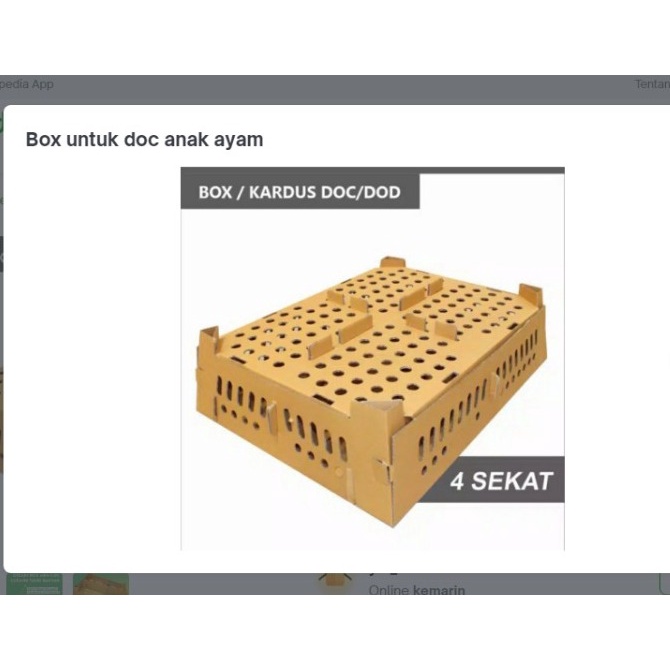 Box doc anak ayam