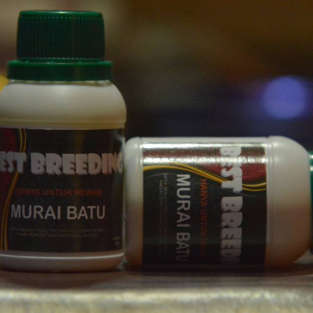 Best Breeding Murai Batu 80 ML