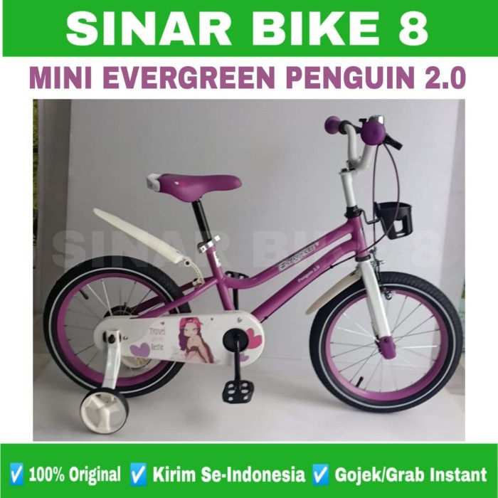 Sepeda Keranjang Anak Perempuan MINI EVERGREEN PENGUIN Ukuran 12&quot; dan 16&quot; Inch