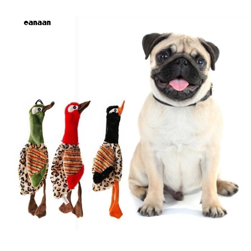 44++ Anjing pug mini download