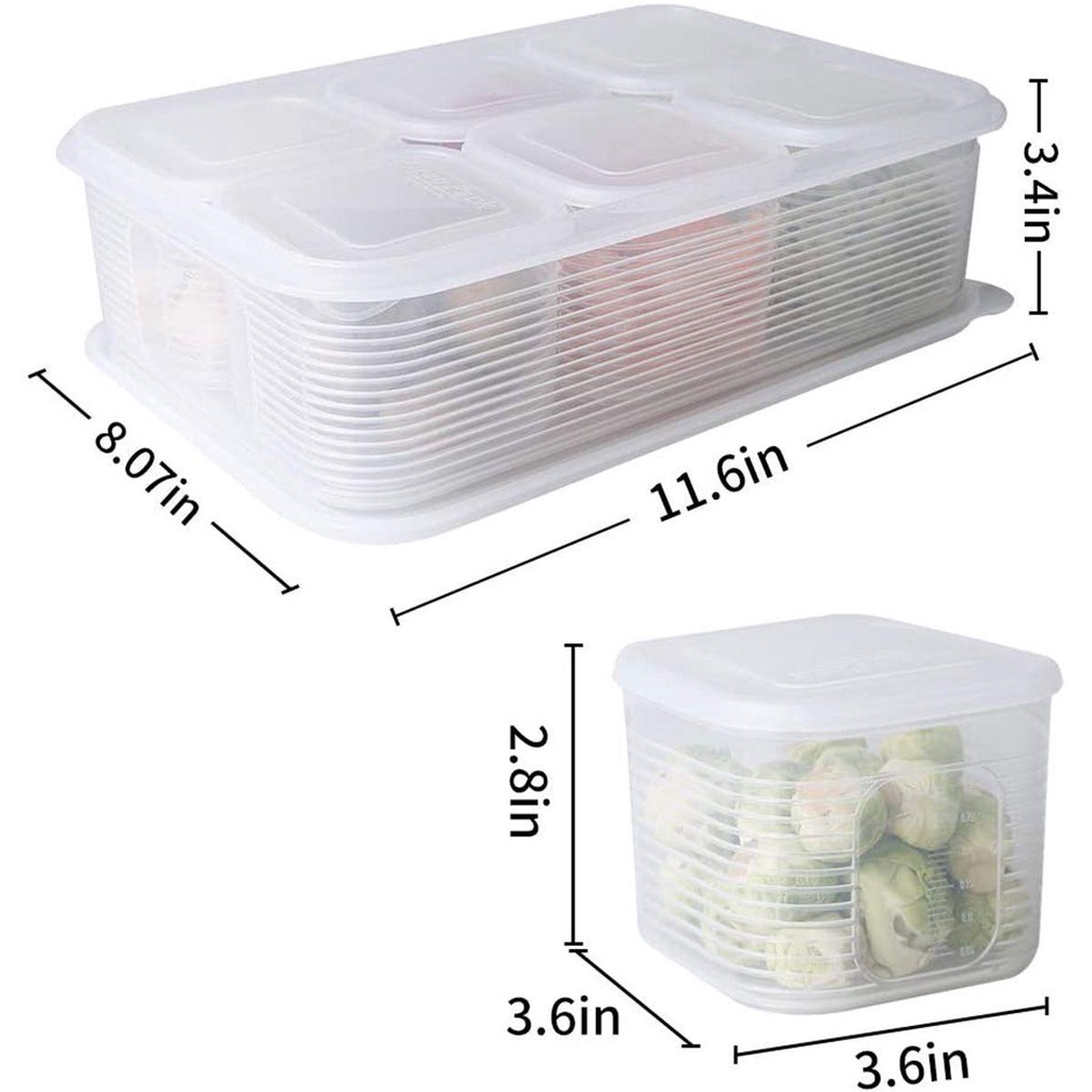 Quinton Freezer Fresh Box Individual Removable Dengan Tutup Storage Bin Tempat Makanan