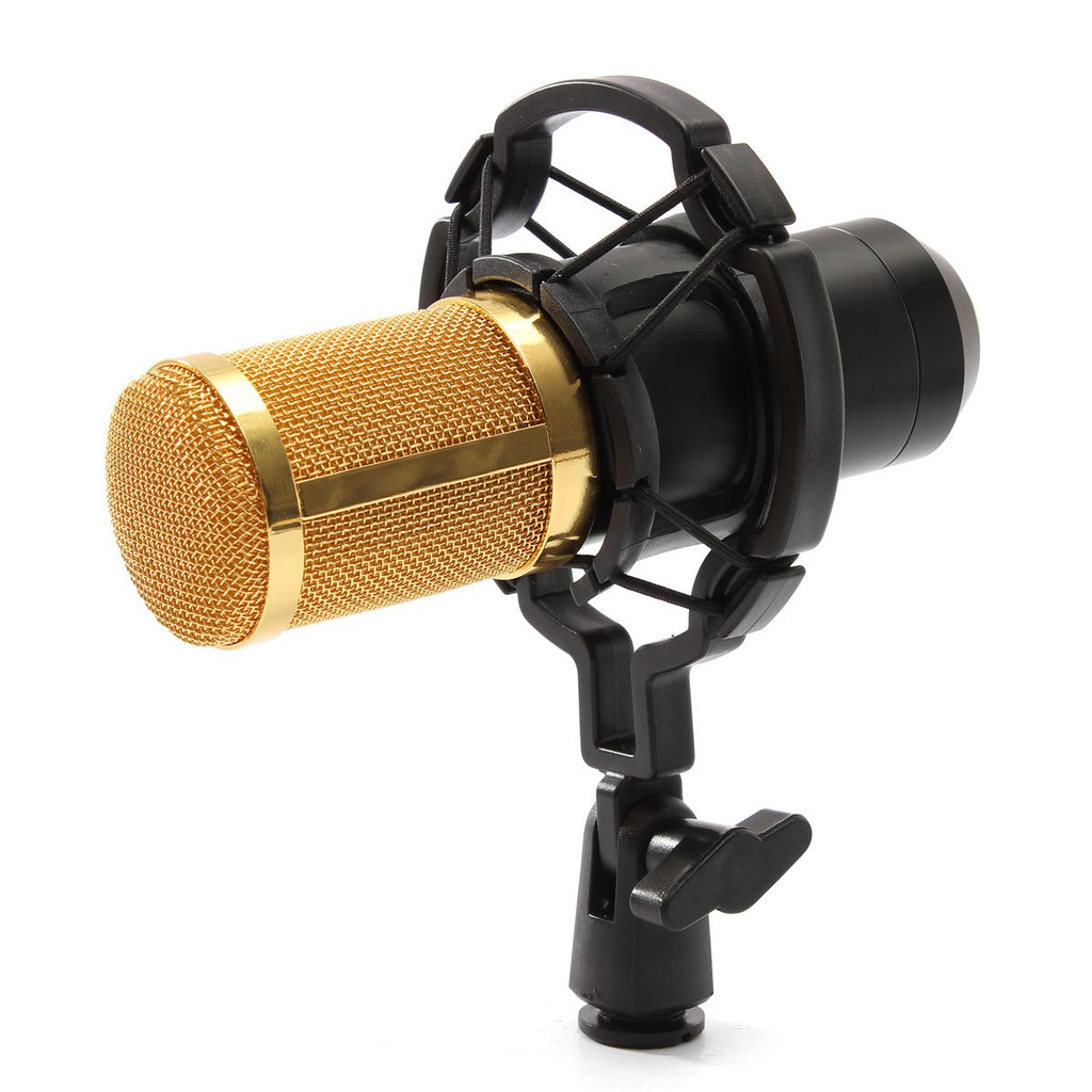 BM800 MIC ONLY Sound Recording Cardioid Microphone Professional Studio Condenser Unidirectional