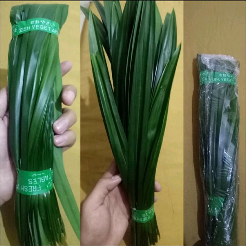 

Daun Pandan Organik Fresh 1 Iket (10-15 Lembar Daun)