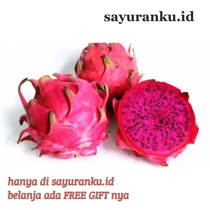 

buah naga premium segar - 500 gram