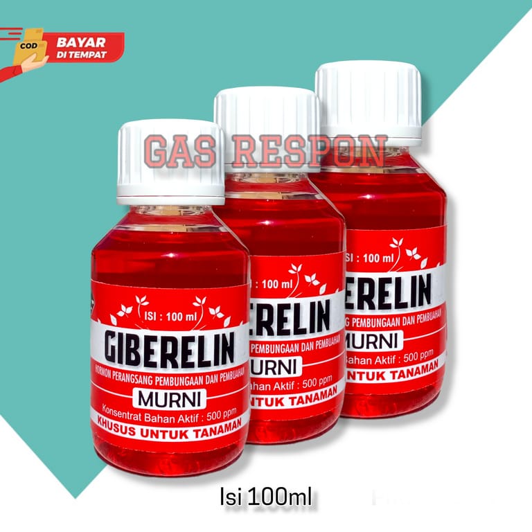 GIBERELIN 100 ML hormon giberlin