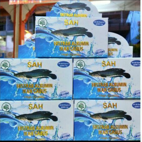 SAH  KAPSUL EKSTRAK ALBUMIN / IKAN GABUS