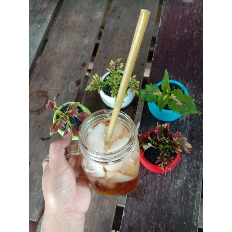 

grass eco straw