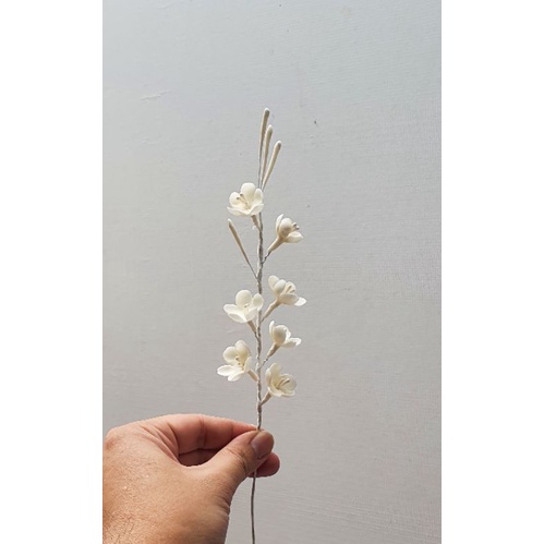 

jasmin sulur / veganpaste / gumpaste / edible