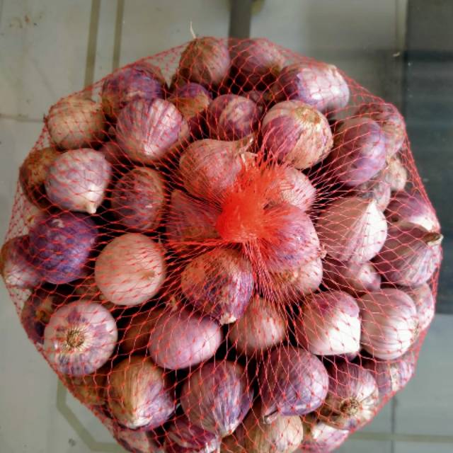 

Bawang Tunggal/ Bawang Lanang