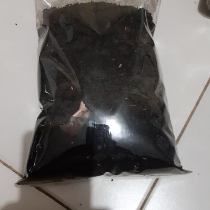 

Biji habbatusauda murni isi 500gr