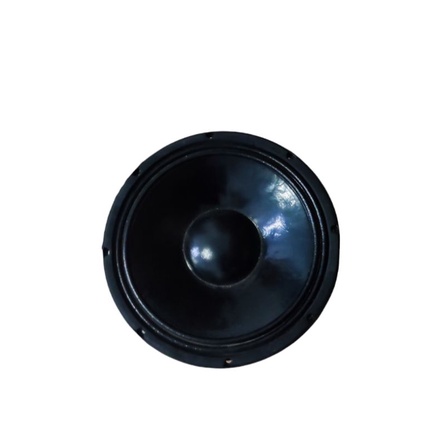 SPEAKER HZ 12 PRO 12 INCH