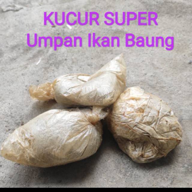Kucur super ikan sungai