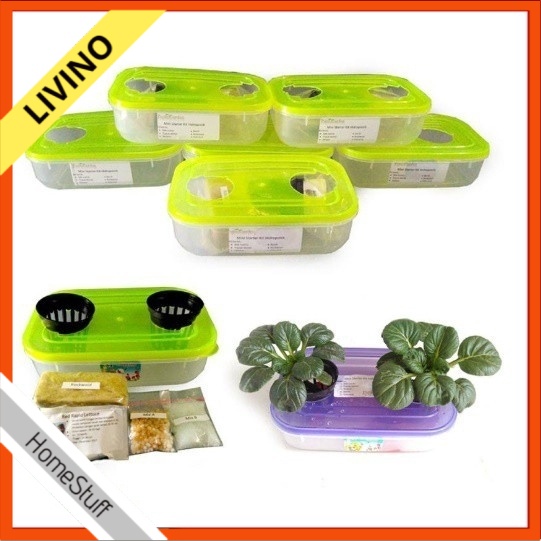KIT MINI 2 HIDROPONIK LUBANG LIVINO