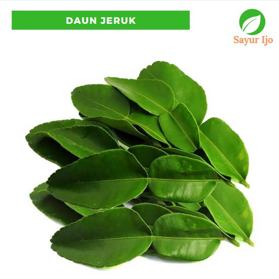 

Daun Jeruk 50 Gram Fresh Orange Leaf Sayur Hijau Segar Bumbu Rempah Masak Dapur