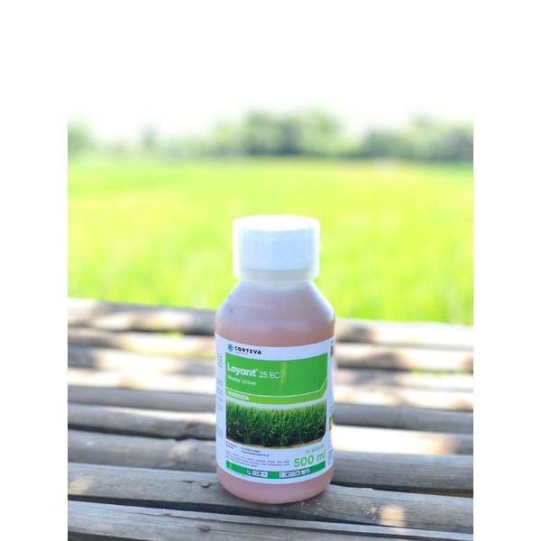 LOYANT 25EC NEW BARCODE/500ML/ - HERBISIDA SISTEMIK SELEKTIF PURNA TUMBUH -CORTEVA