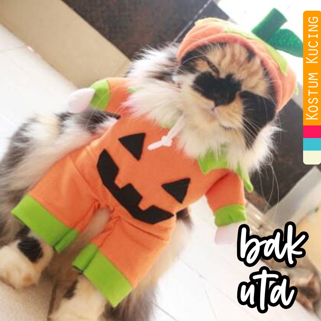 Kostum untuk halloween buah labu / baju kucing lucu murah meriah cosplay size S M L XL