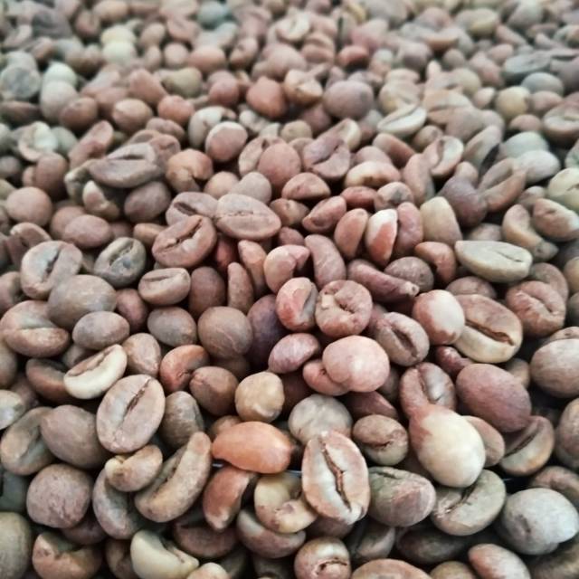 

Robusta Lampung Barat Sekincau 1.200 mdpl