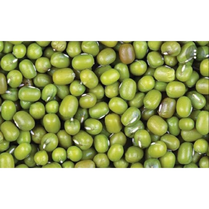 

1kg KACANG HIJAU BUAT BUBUR KONSUMSI HALAL 100%